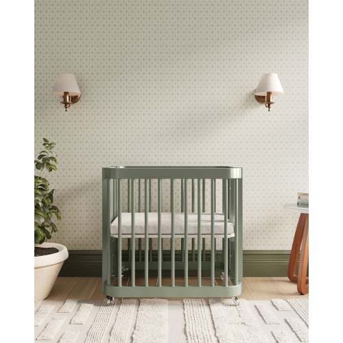 The Wave Crib in Color