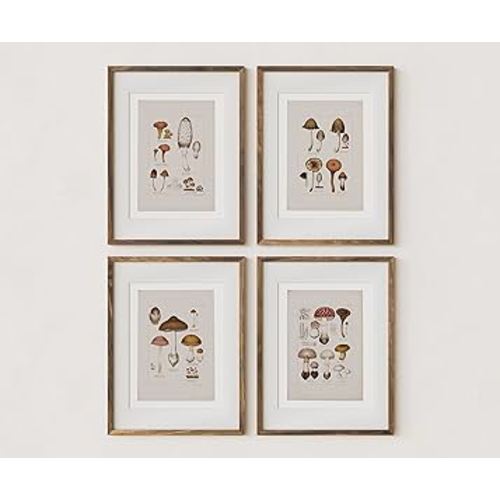 Wall Art Botanical Mushroom Prints | Vintage Boho Minimalist Plant Artwork Neutral Home Decor for Bedroom, Living Room, Bathroom, or Office Walls | Set of 4 UNFRAMED Pictures | Overall Size (11 x 14)