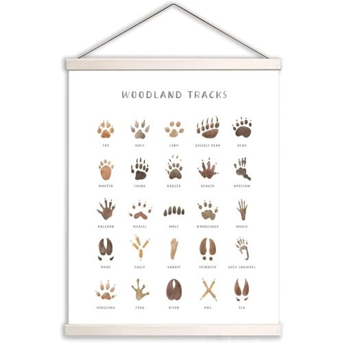 AWISBI Woodland Animal Tracks Hanging Poster, Woodland Nursery Decor 16x20 Inch, Animal Tracks Canvas Artwork, Forest Nursery Decor, Boy Nursery Wall Decor For Kids