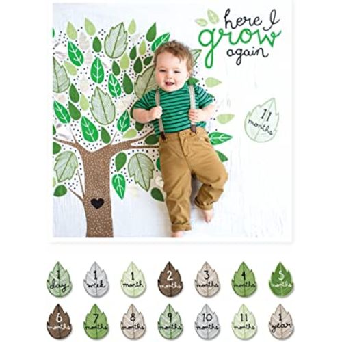 lulujo Baby’s First Year Milestone Blanket and Card Set | 40in x 40in (Here I Grow Again)