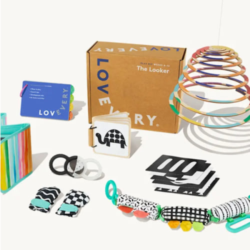 Lovevery (6 month Subscription)
