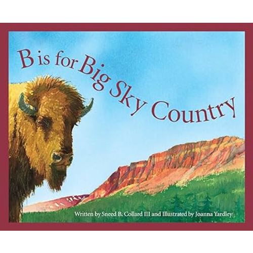 B is for Big Sky Country: A Montana Alphabet (Discover America State by State)