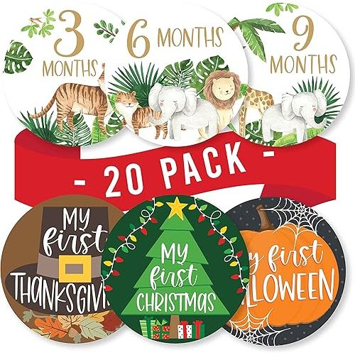 Hadley Designs 20 Monthly Baby Milestone Stickers-Safari Baby Monthly Milestone Stickers, Newborn, Photo Props