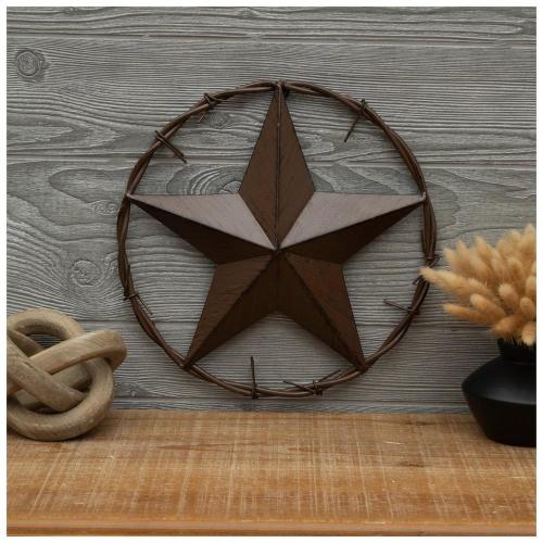 Brown Star In Circle Metal Wall Decor