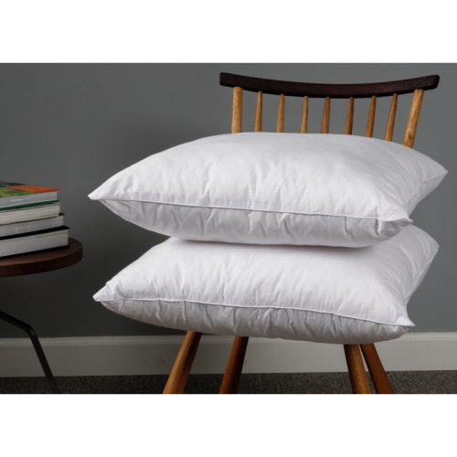 Wayfair Basics® Didomenico Euro Square Pillow Insert & Reviews | Wayfair