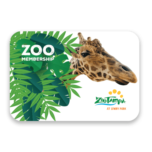 ZooTampa Membership - Trio