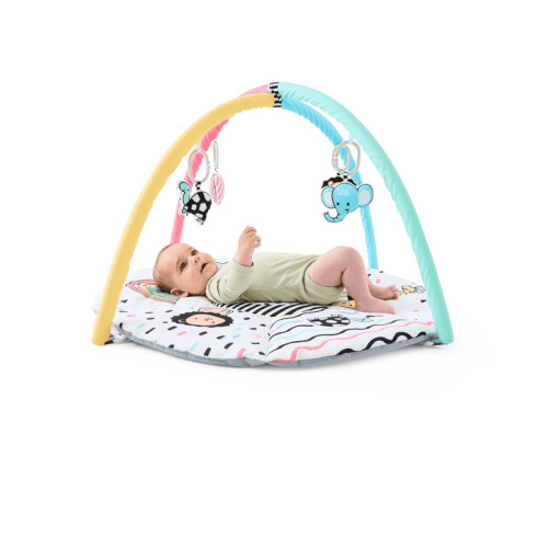 Play Mat and Gym - Multi - One Size