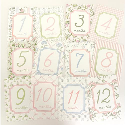 Baby Girl Pink Floral Milestone Cards, Monthly Baby Milestone Set, Baby Shower Gift, Milestone Markers, Coquette Nursery Newborn Photo Prop