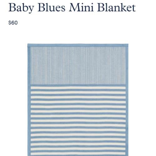 Baby Blues Mini Blanket