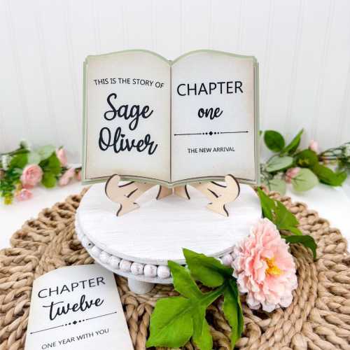 Book Themed Baby Monthly Milestone Photo Props