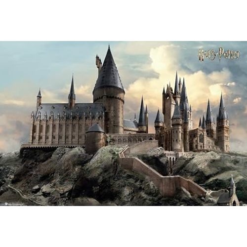 Harry Potter - Movie Poster Print (Hogwarts by Day) (Size: 36 inches x 24 inches)