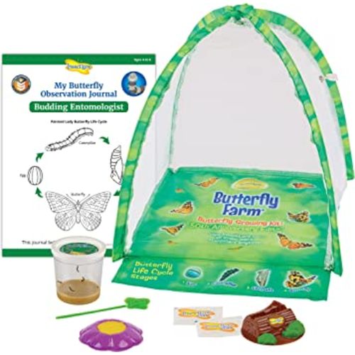 Butterfly Garden: Farm Habitat and Live Cup of Caterpillars – Life Science & STEM Education