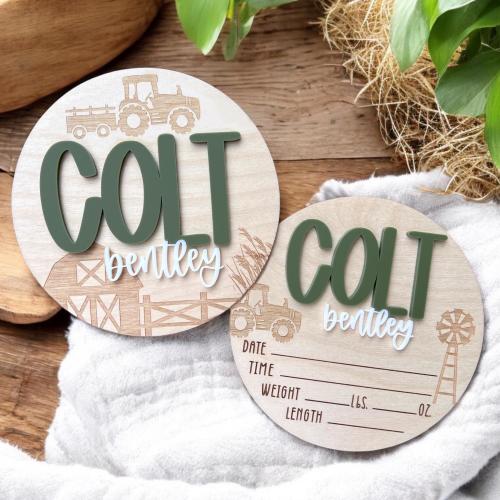 Farm Baby Rounds, Baby Announcement Sign, Birth Announcement, Stat Sign, Personalized Baby Name Sign, Barn, Tractor, Barnyard, Nursery Decor