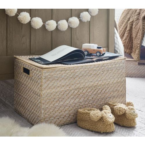 Quinn Lidded Storage Trunk