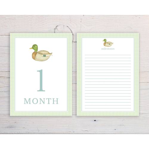 Baby Boy Monthly Milestone Cards, Mallard Duck Milestone Cards