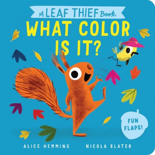 A Leaf Thief Book: What Color Is It? - (A Squirrel & Bird Book) by Alice Hemming (Board Book)