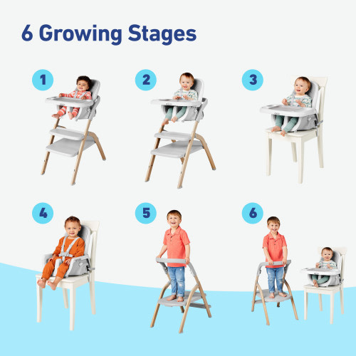 EveryStep Slim 6-in-1 Highchair - Misty