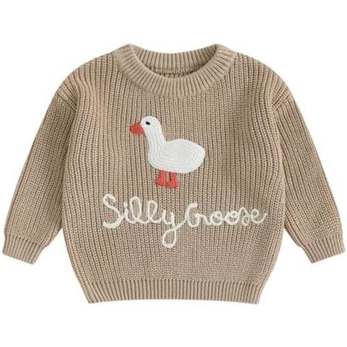 Toddler Baby Boy Girl Knit Sweater Silly Goose Embroidery Long Sleeve Knitted Sweatshirt Warm Fall Winter Clothes