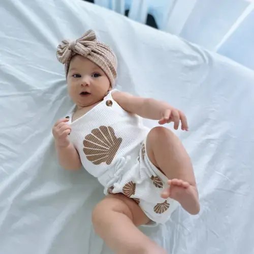 Seashell Set