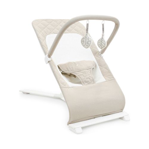 Baby Delight Alpine Deluxe Portable Baby Bouncer, for Infants 0-6 Months, Organic Oat