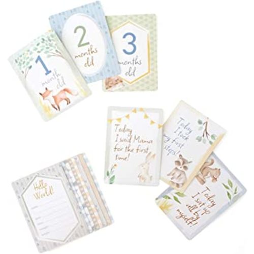 Itzy Ritzy Infant Occasion Markers - Set of 14 Double-Sided Cards Features 28 Monthly Markers; Each Card Measures 5” x 7”; Printed on Cardstock; Woodland Animals