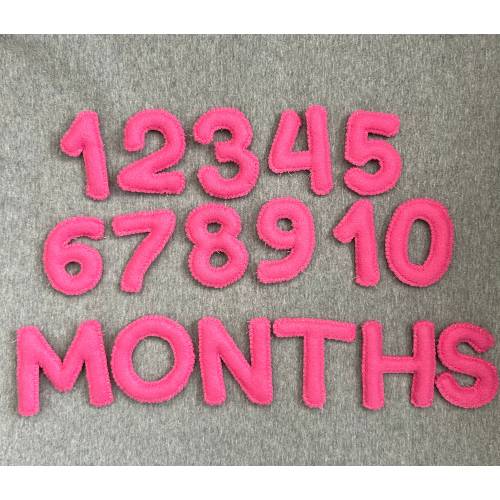 Baby Milestone Tracker in Felt Baby Month Tracker Letters and Numbers