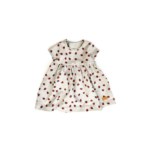 Organic ladybug dress, girls dress, gathered dress, organic grey dress, bug dress, toddler girl dress, ladybug clothes, organic girl dress