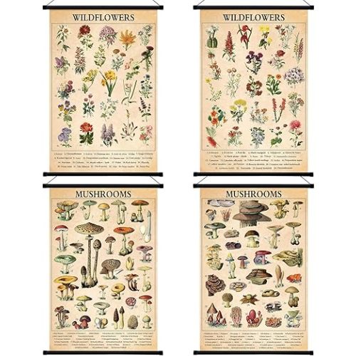 Lewtemi 4 Pcs Vintage Mushroom Wildflowers Poster Fungus Butterfly Tree Wall Hanging Poster Prints Illustrative Reference Chart Poster for Classroom Living Room Decor, 15.7 x 23.6 Inch(Cute, Vivid)