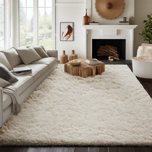Area Rug