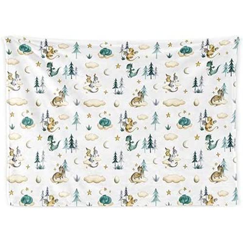 Amazon.com: Dinosaurs Baby Blanket for Boys, Soft Dinosaurs Plush Flannel Blanket for Newborns Baby Infants Toddlers, Dinosaurs Toys Gifts for Boy Baby Shower Birthday Easter Nursery Room Decor, 30"x 40" : Baby