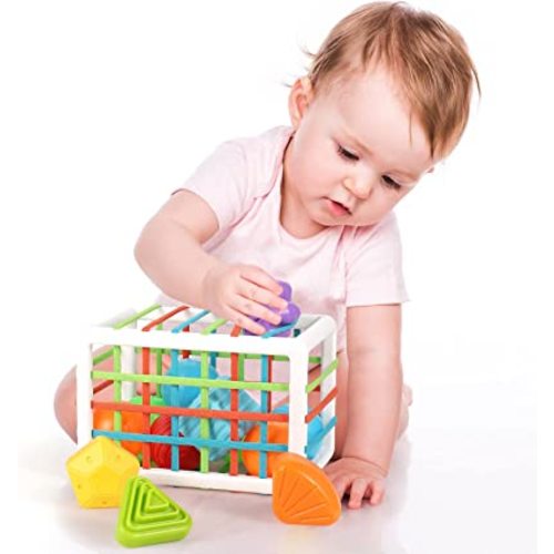 Shape Sorter One Year Old Toys, Developmental Montessori Learning, Storage Cube & 6 Sensory Blocks, Birthday Gifts for Toddler Boys Girls Age 1 2 3 (+6 Ocean Balls)