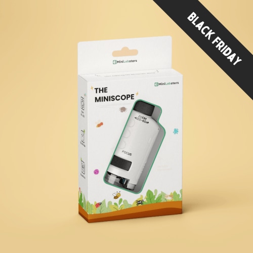 The Miniscope
– MiniLabsters