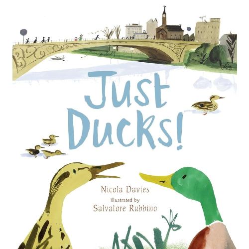 Just Ducks! (Read and Wonder)