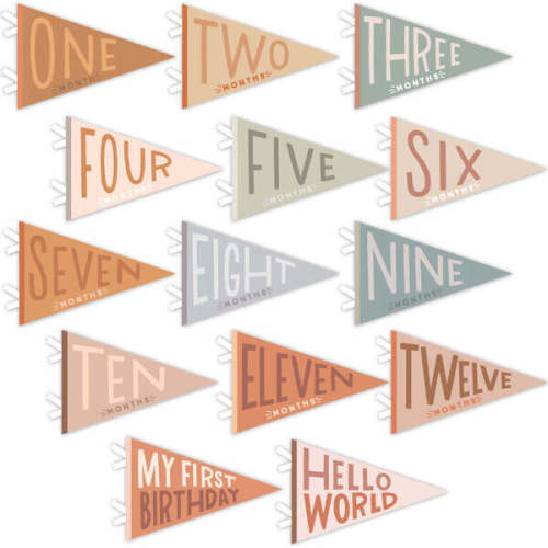 Mountain Fields Petit Milestone Pennant - Lucy Darling Mirrors & Wall Decor | Maisonette