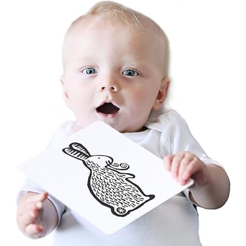 Wee Gallery Art Cards for Baby, Durable High Contrast Black and White Animal Flashcards for Newborns, Brain Development, Sensory Toys, Tummy Time Essentials for Infant and Toddler - Pets