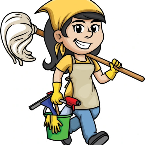 Hire a professional cleaner $250