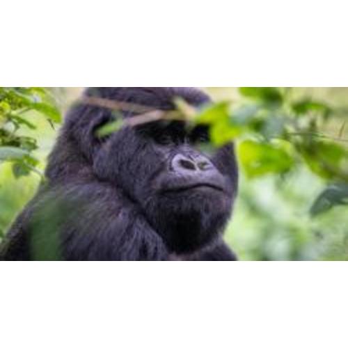 Zoo Membership | Columbus Zoo and Aquarium