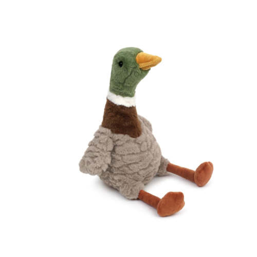 River Mallard Duck