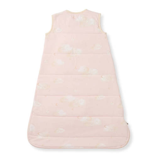 Good Night Sky Organic Warmer Beekeeper™ Wearable Baby Blanket - Ranun – Burt's Bees Baby