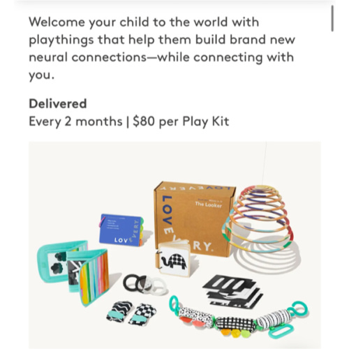 The Play Kits by Lovevery | Montessori Toy Subscription Ages 0-5 | Lovevery
