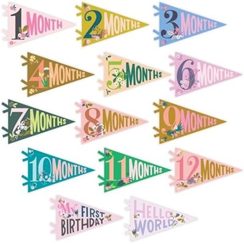 Lucy Darling Petit Milestone Pennants, 12 Felt Baby Monthly Milestone Banners for Baby Girl & Boy, Newborn Photography Props & Decor, Felt Pennant Flags, Perfect Baby Shower Gifts (Little Artist)