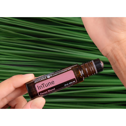 InTune Focus Blend | doTERRA Essential Oils