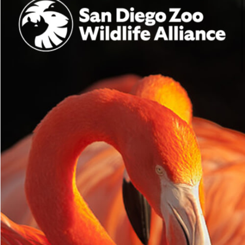 SDZWA :: Ticket Selection