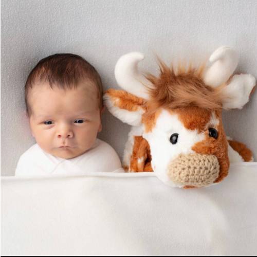 Longhorn Lovey - Texas Cow Nursery - by JoJo Bootique
