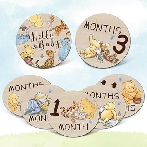 Winnie Baby Monthly Milestone Circles - The Pooh Bear Baby Stuff Wooden Discs for Baby Girl Boy - 7Pcs Double Sides Round Circles Signs for Newborn Photo Prop