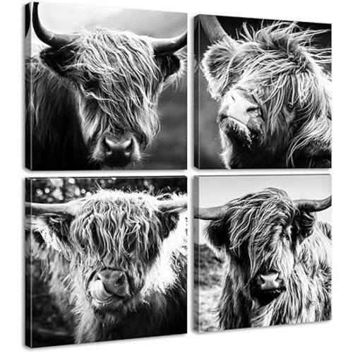 DJSYLIFE Highland Cow Wall Art Farmhouse Decor Canvas Printed Black and White Cow Pictures Wall Decor Modern Western Rustic Artwork Decorations for Bedroom Office Living Room 12"×12"×4