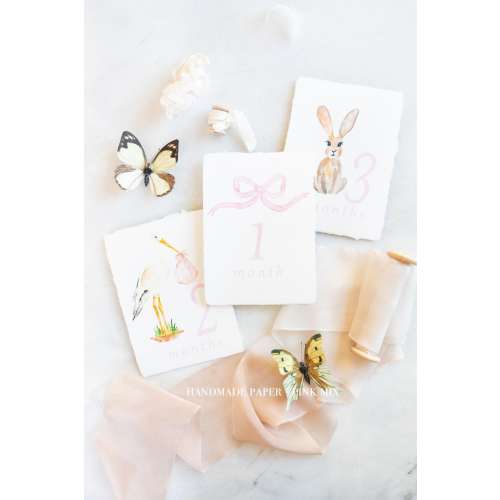 Monthly Milestone Cards Watercolor Bow, Stork, Bunny Baby Set of 12 Months on Handmade Paper or Cardstock Pink | Blue | Yellow | Green