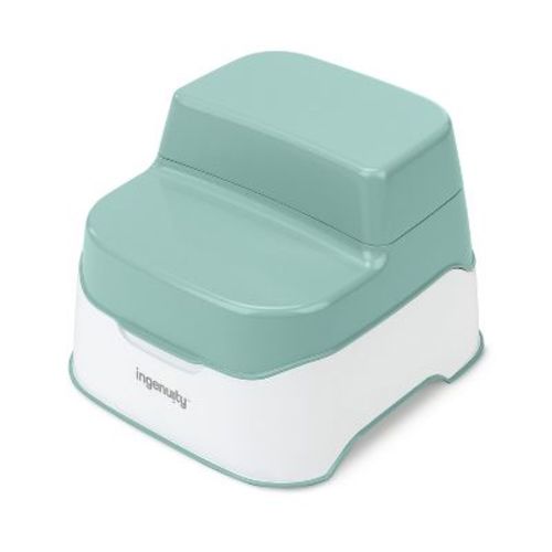 Ingenuity Prepare to Potty 3-in-1 System - Green