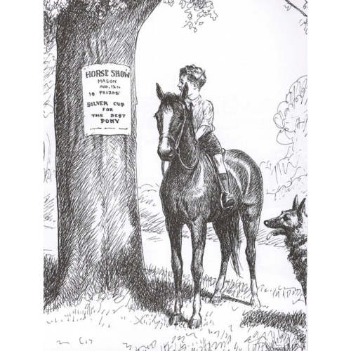 billy and blaze – Bridle Up Hope Shop
