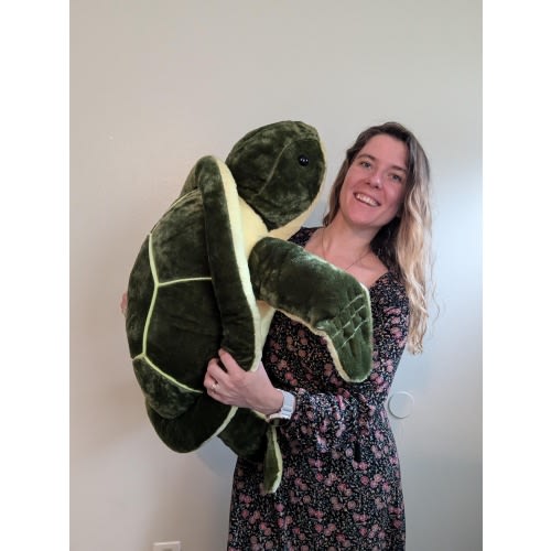Handstuffed Turtle Plushies Ecofriendly Recycled Polyfill Stuffed Animal Stuffies Toy Children Pet Dog